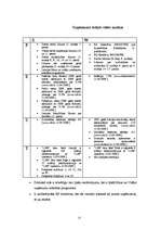 Biznesa plāns 'SIA "Panda"', 13.