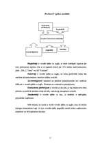 Biznesa plāns 'SIA "Panda"', 15.