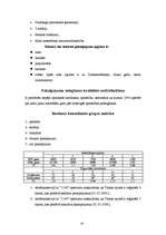 Biznesa plāns 'SIA "Panda"', 19.