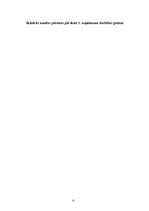 Biznesa plāns 'SIA "Panda"', 25.