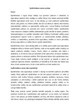 Paraugs 'Izpilddirektora amata apraksts', 1.