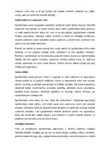 Paraugs 'Izpilddirektora amata apraksts', 2.