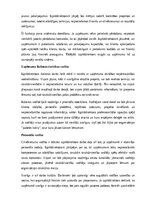 Paraugs 'Izpilddirektora amata apraksts', 3.