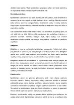 Paraugs 'Izpilddirektora amata apraksts', 4.