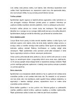 Paraugs 'Izpilddirektora amata apraksts', 8.