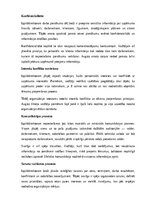 Paraugs 'Izpilddirektora amata apraksts', 9.