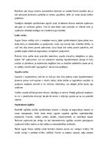 Paraugs 'Izpilddirektora amata apraksts', 11.