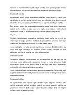 Paraugs 'Izpilddirektora amata apraksts', 12.