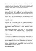 Paraugs 'Izpilddirektora amata apraksts', 13.