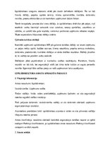 Paraugs 'Izpilddirektora amata apraksts', 14.