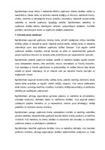 Paraugs 'Izpilddirektora amata apraksts', 15.