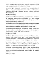 Paraugs 'Izpilddirektora amata apraksts', 16.