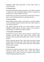 Paraugs 'Izpilddirektora amata apraksts', 18.
