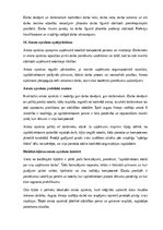 Paraugs 'Izpilddirektora amata apraksts', 19.