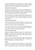 Paraugs 'Izpilddirektora amata apraksts', 20.