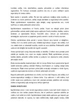 Paraugs 'Izpilddirektora amata apraksts', 22.