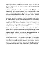 Paraugs 'Izpilddirektora amata apraksts', 23.