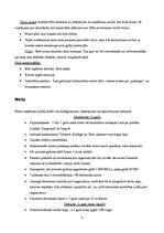 Biznesa plāns 'Izveidotais uzņēmums SIA "Kino"', 5.