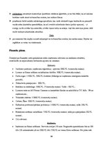 Biznesa plāns 'Izveidotais uzņēmums SIA "Kino"', 16.