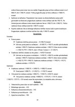 Biznesa plāns 'Izveidotais uzņēmums SIA "Kino"', 17.