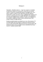 Referāts 'Kristietība Latvijā 12.-13.gadsimtā', 7.