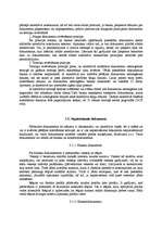 Konspekts 'Starptautiskais tirgus un norēķini tajā', 13.