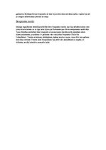 Referāts 'Viduslaiku bruņinieki un viņu dzīve', 2.