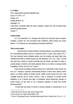 Prakses atskaite 'Ievadprakse tiesā', 3.