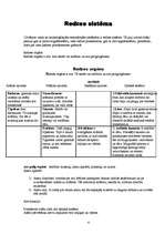 Referāts 'Sensorā sistēma', 4.