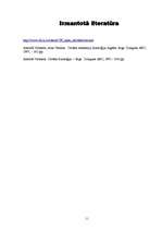 Referāts 'Sensorā sistēma', 11.