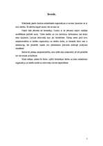 Referāts 'Birokrātija', 3.