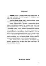 Referāts 'Birokrātija', 4.