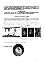 Referāts 'Latvijas alas', 6.