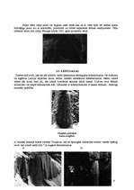 Referāts 'Latvijas alas', 9.