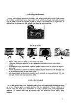 Referāts 'Latvijas alas', 11.