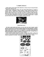 Referāts 'Latvijas alas', 16.