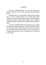 Referāts 'Demogrāfiskā situācija Latvijā', 20.