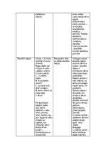 Eseja 'Manas bērnības rotaļas', 7.