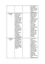 Eseja 'Manas bērnības rotaļas', 8.