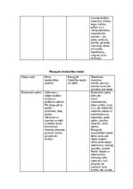 Eseja 'Manas bērnības rotaļas', 10.