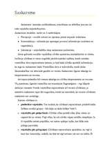 Konspekts 'Komunikācija', 2.