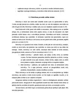 Diplomdarbs 'Motivācija uzņēmumā', 12.