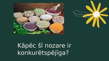 Prezentācija 'Pākšaugu nozare, to konkurētspēja', 11.