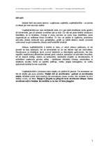 Referāts 'Veiksmīgas uzņēmējdarbības pamati', 3.