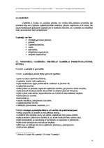 Referāts 'Veiksmīgas uzņēmējdarbības pamati', 4.