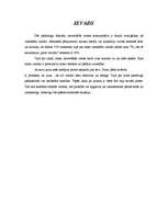 Referāts 'Ķermeņa valoda - žesti', 1.