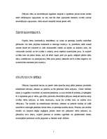 Referāts 'Ķermeņa valoda - žesti', 5.