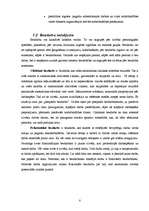 Referāts 'Bezdarbs un tā analīze Daugavpilī un Rīgā', 8.