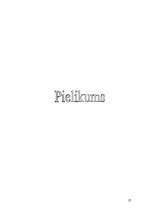 Referāts 'Antīkie tēli Aspazijas dzejā', 27.