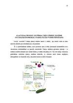 Diplomdarbs 'Vecuma pensijas tiesiskais regulējums Latvijā un citās Eiropas Savienības valstī', 39.